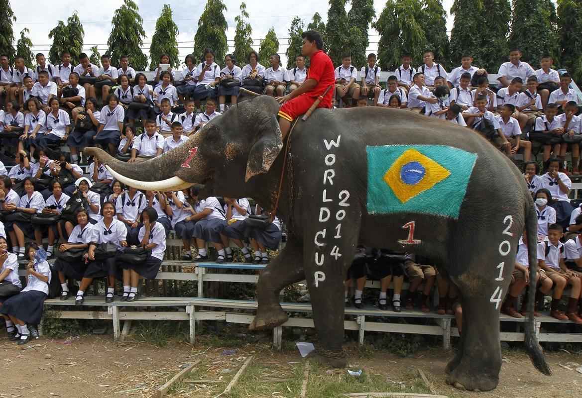 Jogo de futebol de elefantes com estudantes da Tailndia na provncia de Ayuthaya