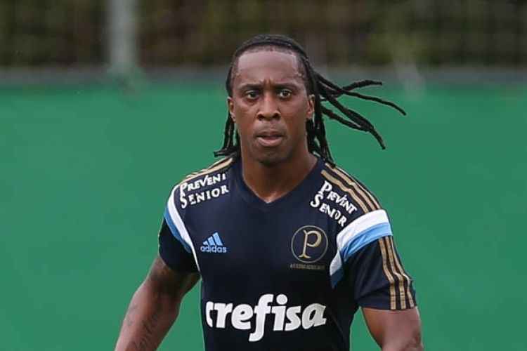 Cesar Greco/Agncia Palmeiras
