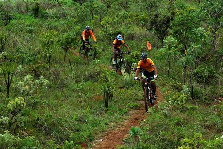 Flona e Parque Nacional de Brasília vão a leilão. Entenda o que